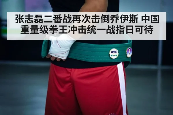 boxing championship belt